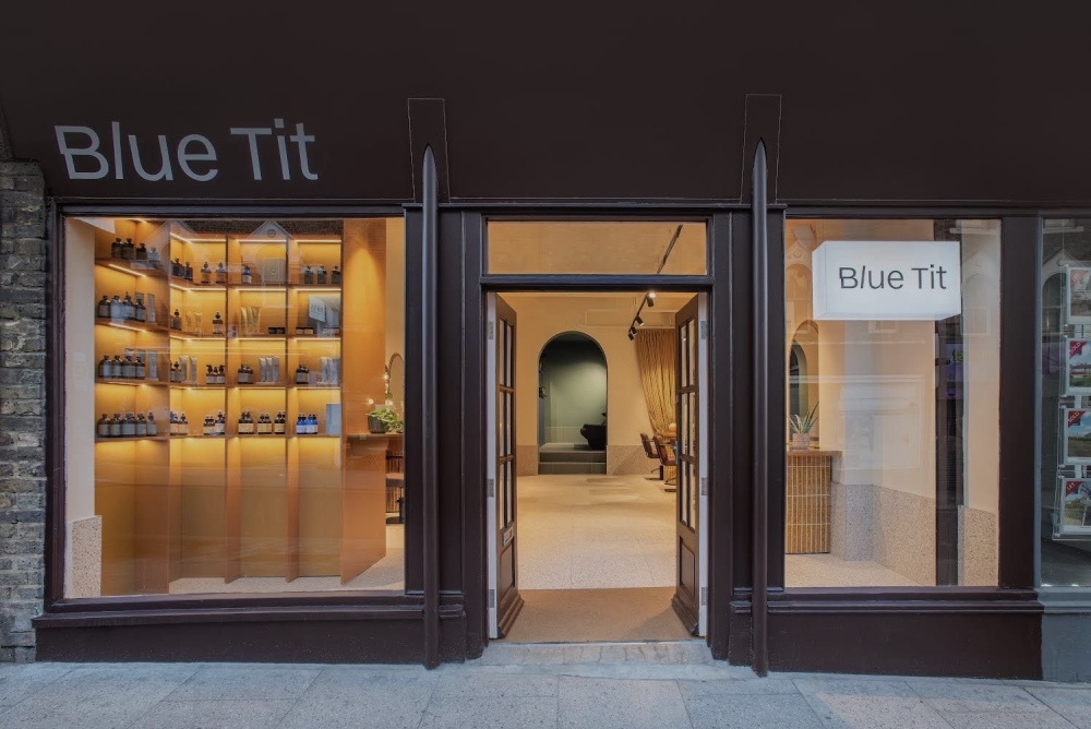 Blue Tit Forest Hill