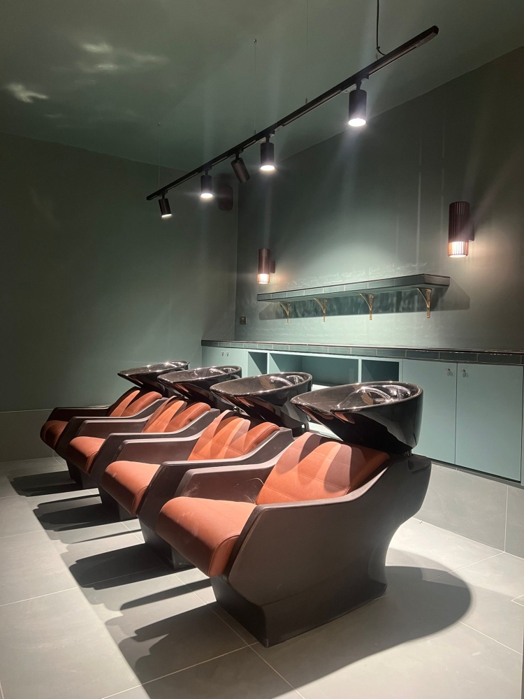 Blue Tit Forest Hill